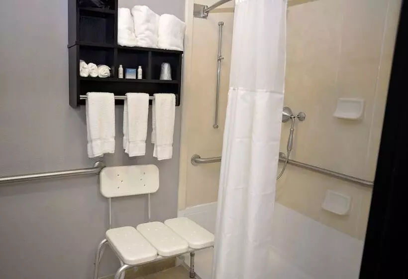 בית מלון כפרי Comfort Inn & Suites Carrollton