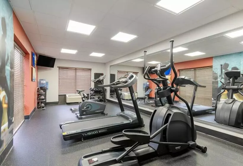 בית מלון כפרי Comfort Inn & Suites Carrollton