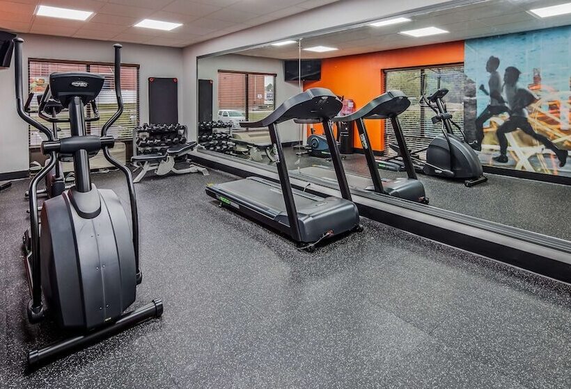 호텔 Comfort Inn & Suites Carrollton