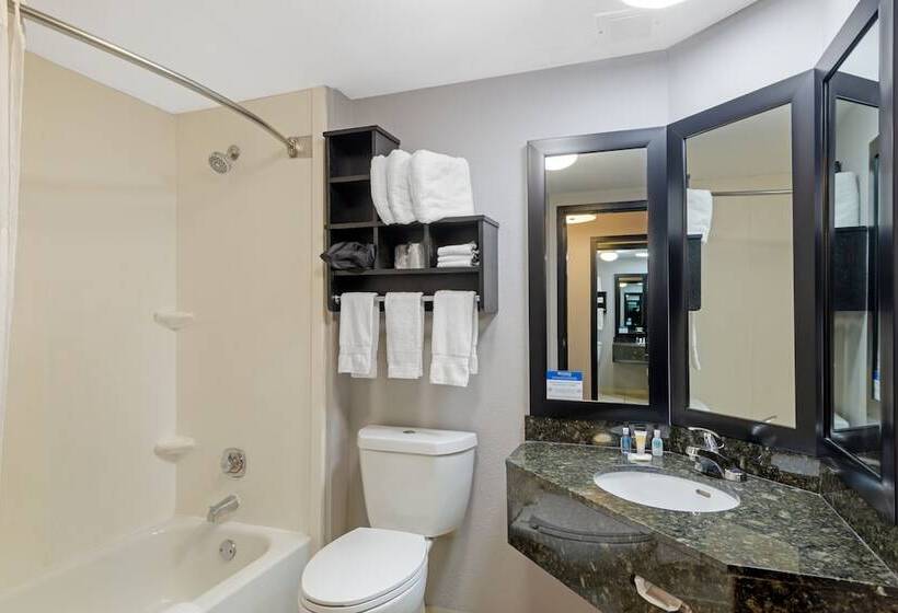 호텔 Comfort Inn & Suites Carrollton