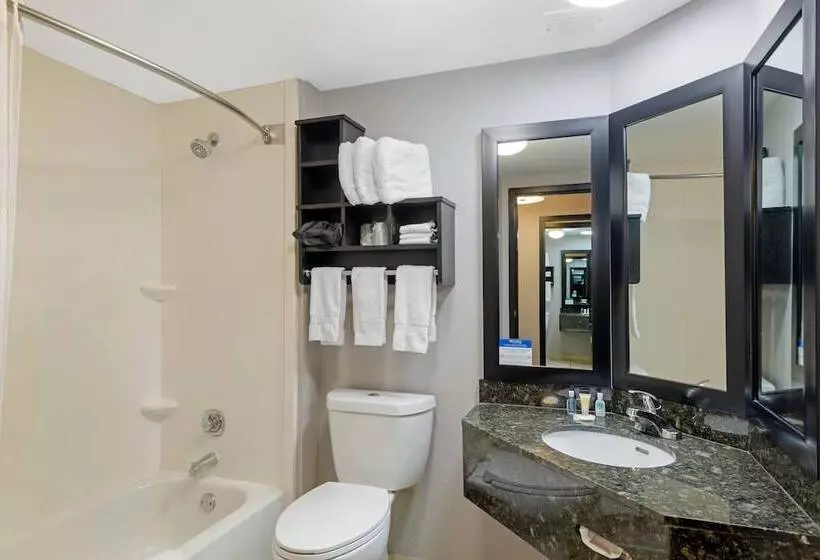 בית מלון כפרי Comfort Inn & Suites Carrollton