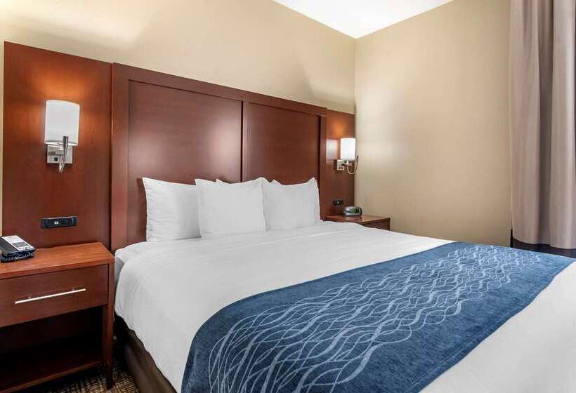 ホテル Comfort Inn & Suites Junction City  Near Fort Riley