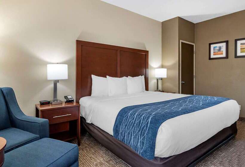 ホテル Comfort Inn & Suites Junction City  Near Fort Riley