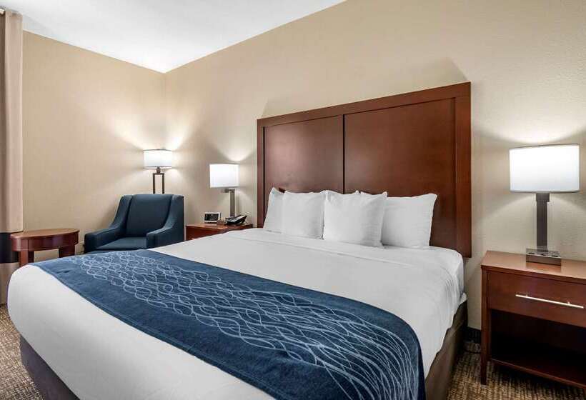 ホテル Comfort Inn & Suites Junction City  Near Fort Riley