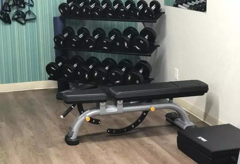 هتل Holiday Inn Express   Naples South   I 75, An Ihg