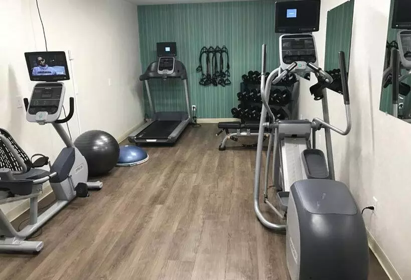 هتل Holiday Inn Express   Naples South   I 75, An Ihg