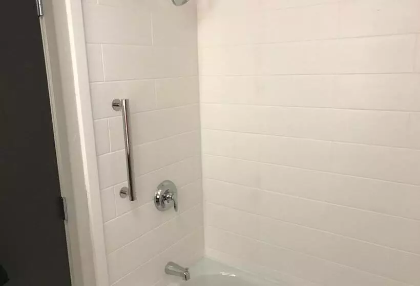 هتل Holiday Inn Express   Naples South   I 75, An Ihg