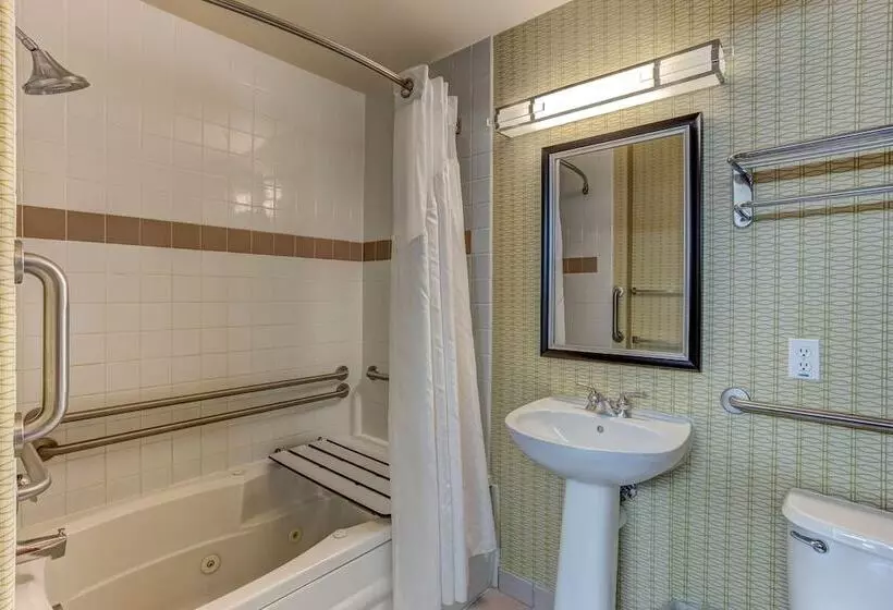 Holiday Inn Express Hotel & Suites Montrose Black Canyon Area, An Ihg