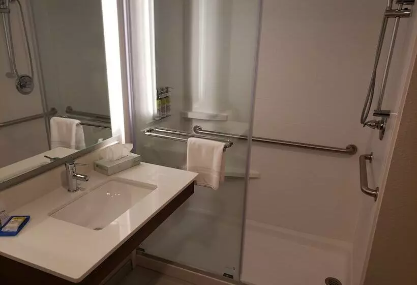 ホテル Holiday Inn Express Hillsborough Durham Area, An Ihg