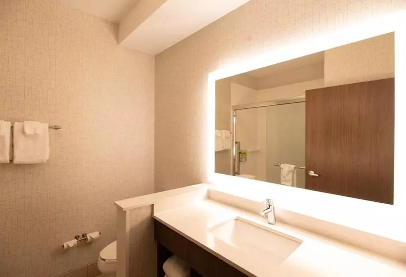 酒店 Holiday Inn Express Houghton Keweenaw, An Ihg