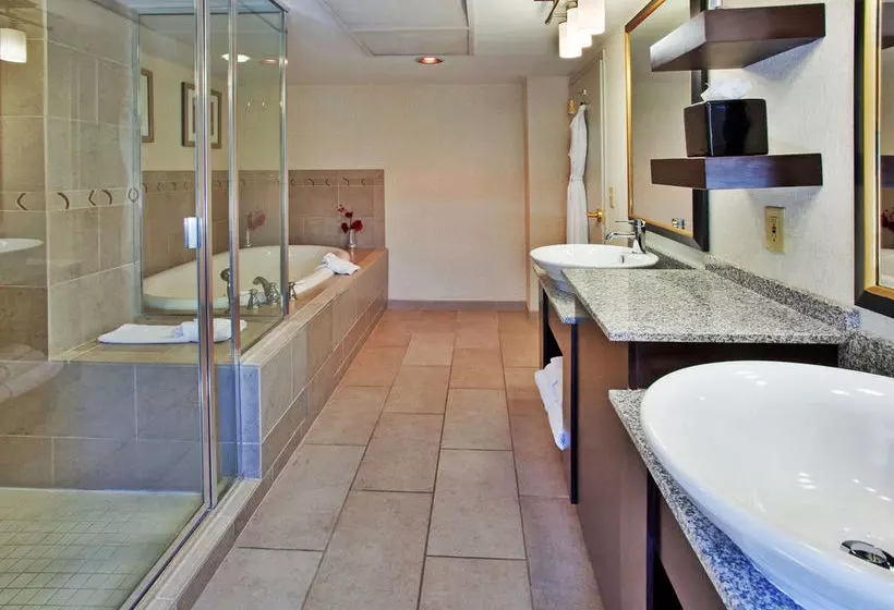 هتل Holiday Inn Kansas City Downtown-Aladdin