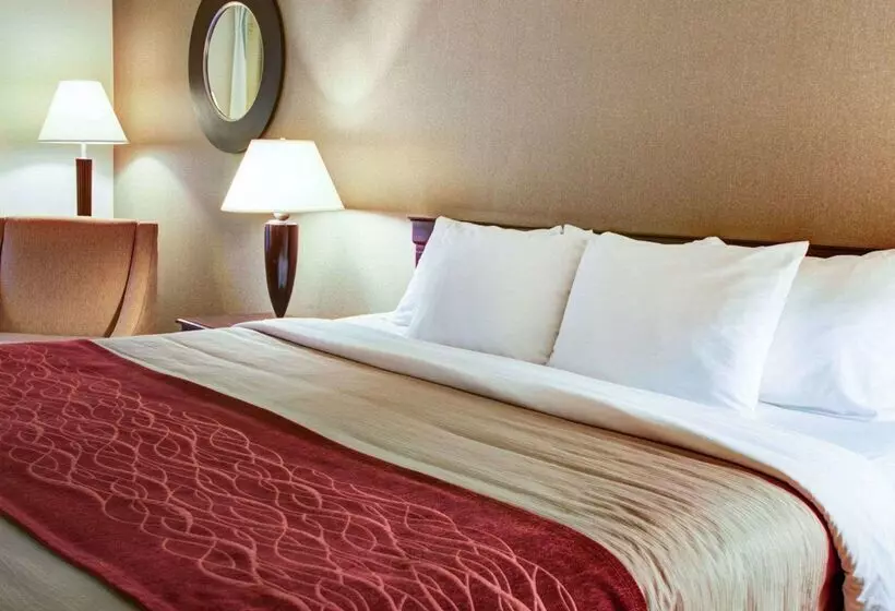 Hotel Quality Inn Florence