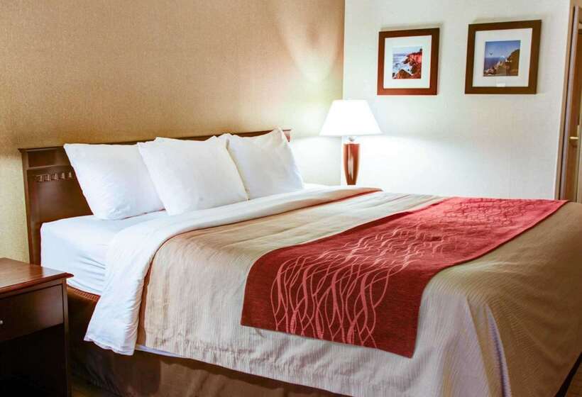 בית מלון כפרי Quality Inn Florence