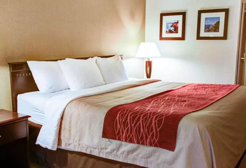 Hotel Quality Inn Florence