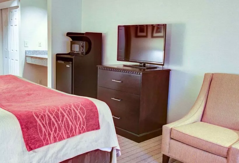 Hotel Quality Inn Florence