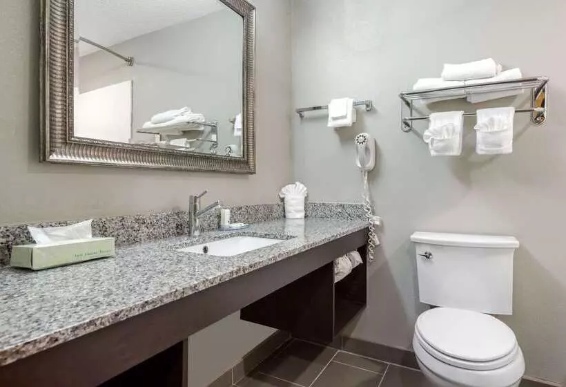 فندق Quality Inn & Suites Brownsburg Indianapolis West