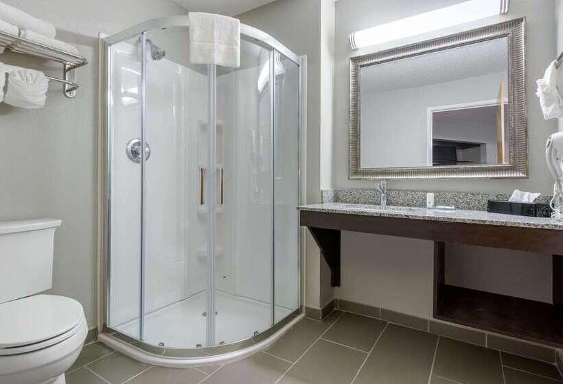 Отель Quality Inn & Suites Brownsburg Indianapolis West