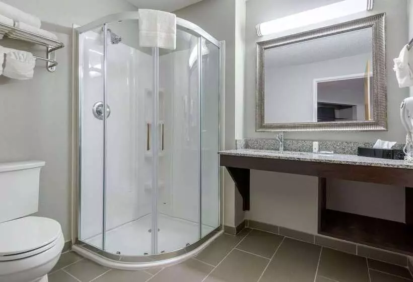 فندق Quality Inn & Suites Brownsburg Indianapolis West