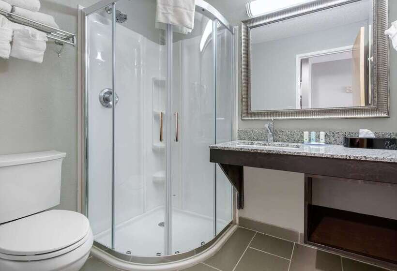 Отель Quality Inn & Suites Brownsburg Indianapolis West