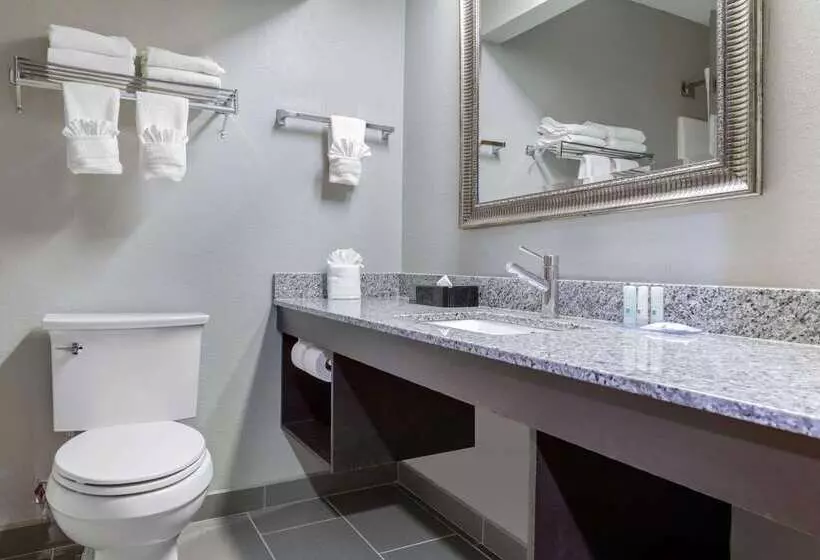 فندق Quality Inn & Suites Brownsburg Indianapolis West