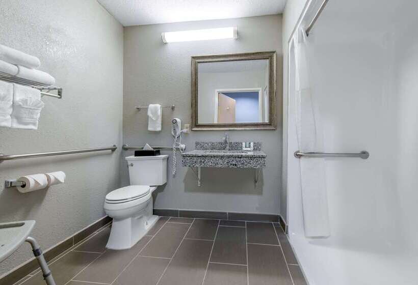 Отель Quality Inn & Suites Brownsburg Indianapolis West