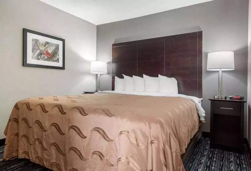 فندق Quality Inn & Suites Brownsburg Indianapolis West