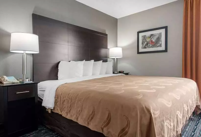 فندق Quality Inn & Suites Brownsburg Indianapolis West