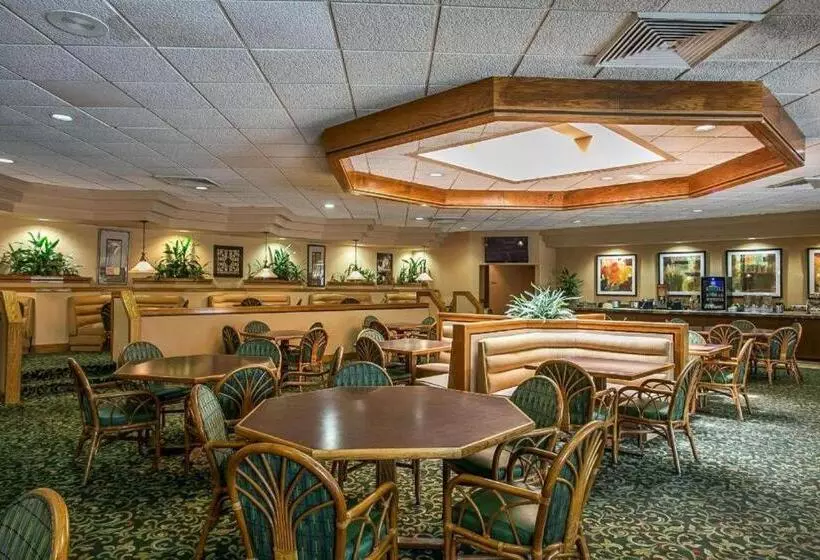 Отель Quality Inn Sumter