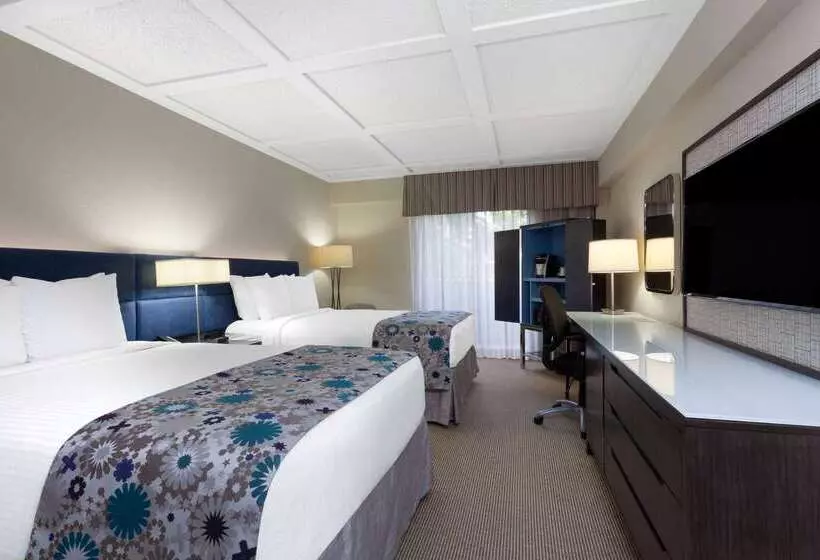 酒店 Wyndham Boca Raton