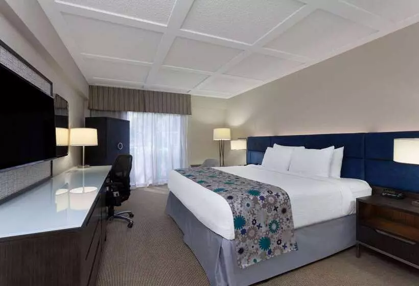 酒店 Wyndham Boca Raton