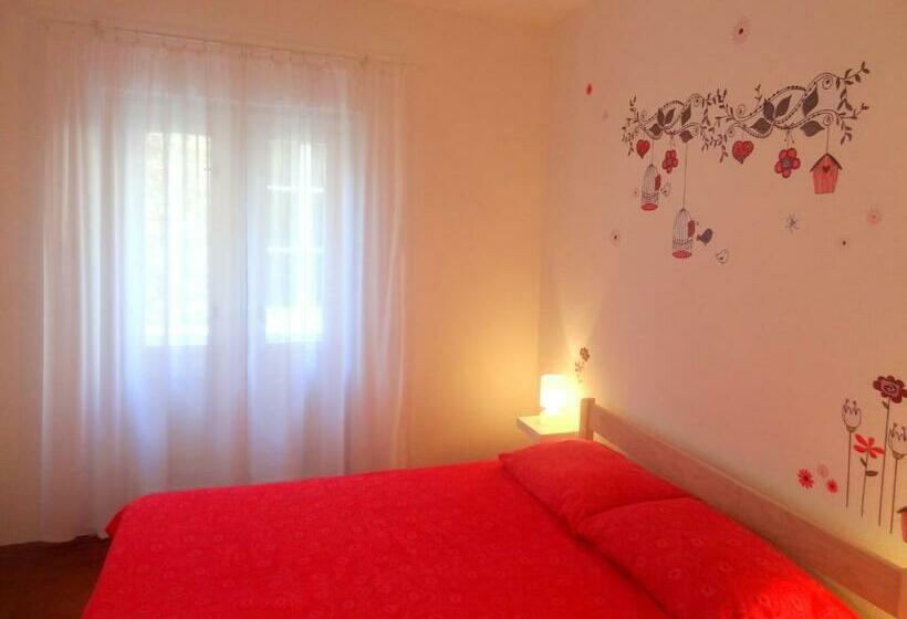 Old Center Apartments