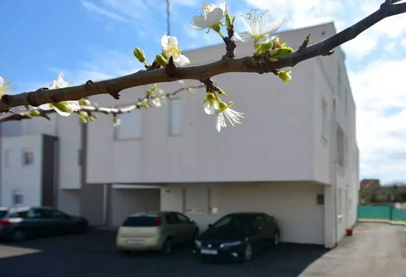 Apartment Jure