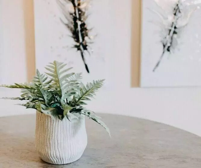 Best House, Central Luxury Apartment, Agiou Nikolaou, Patra