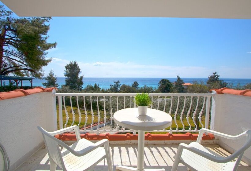 Eva Gior Shared Pool Messonaittes