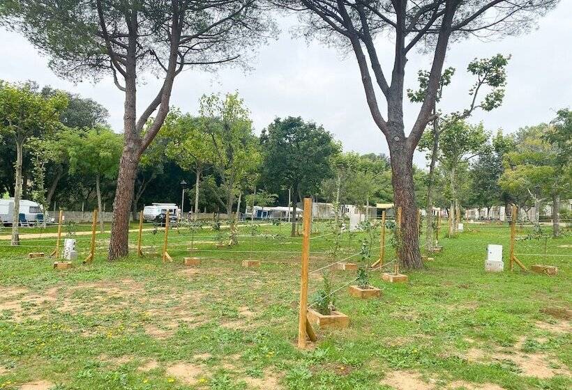 فندق Camping 3 Estrellas Costa Brava