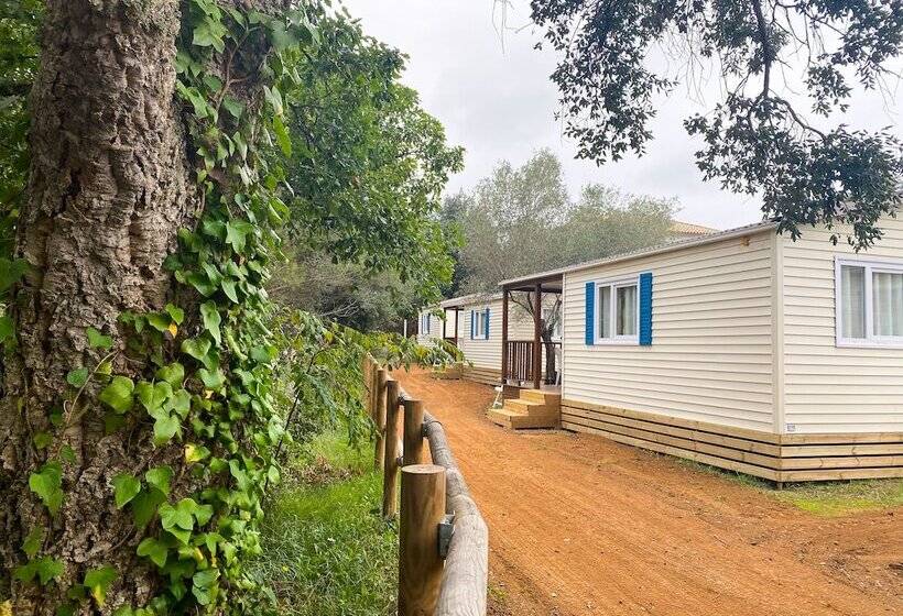 فندق Camping 3 Estrellas Costa Brava