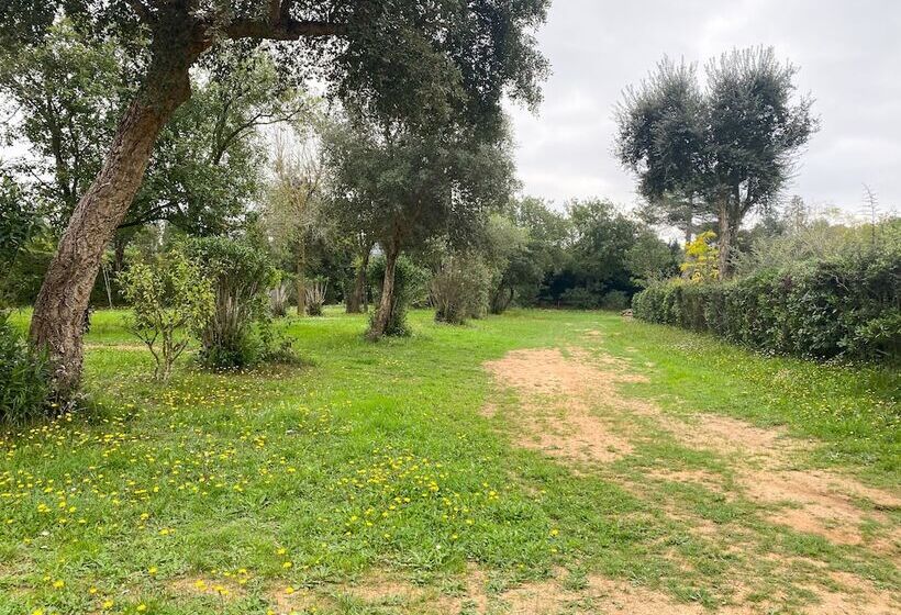 فندق Camping 3 Estrellas Costa Brava