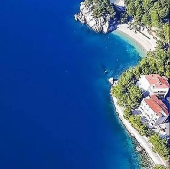 Villa Dalmatia Apartments
