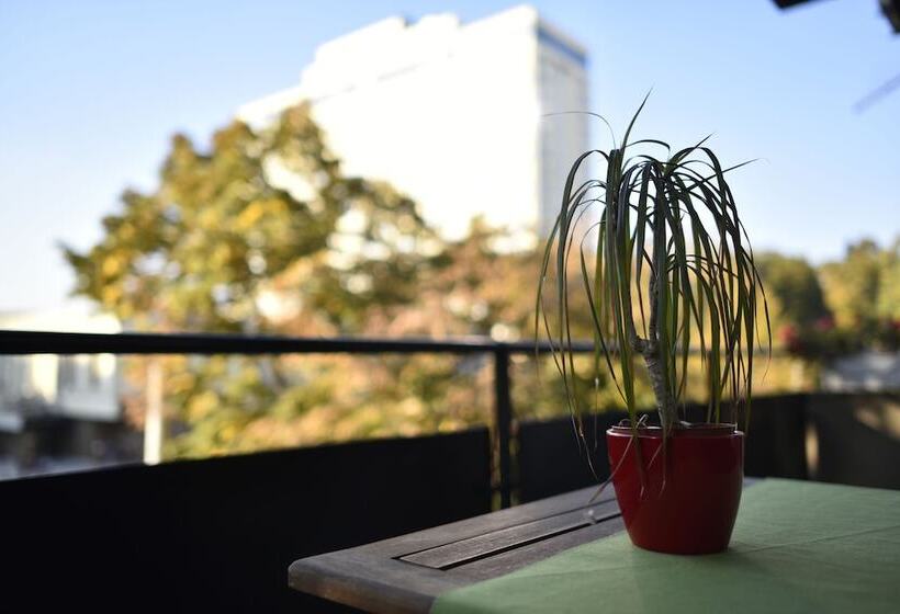 Vla Vla Apartments With Parking