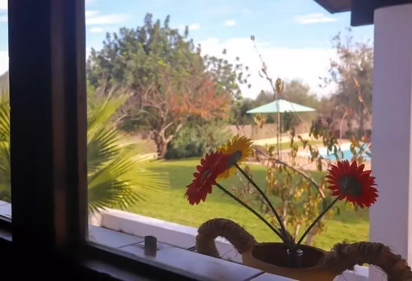 Finca Es Torrent Paz Y Tranquilidad