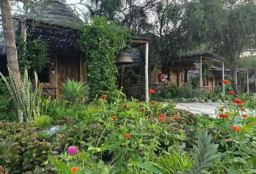 هتل Swara Acacia Lodge