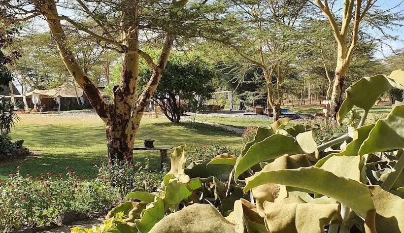 هتل Swara Acacia Lodge