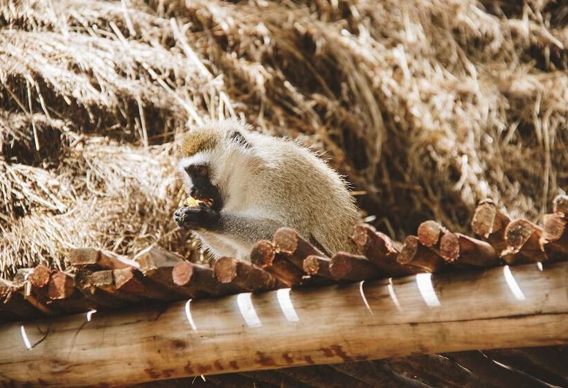 هتل Swara Acacia Lodge