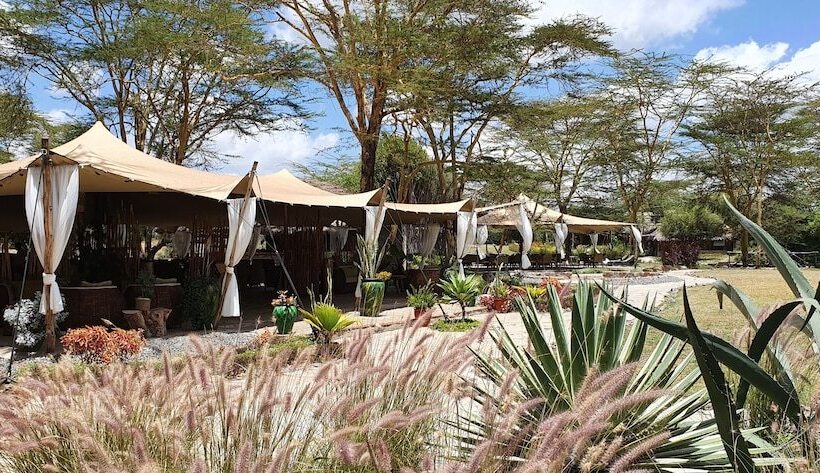 هتل Swara Acacia Lodge