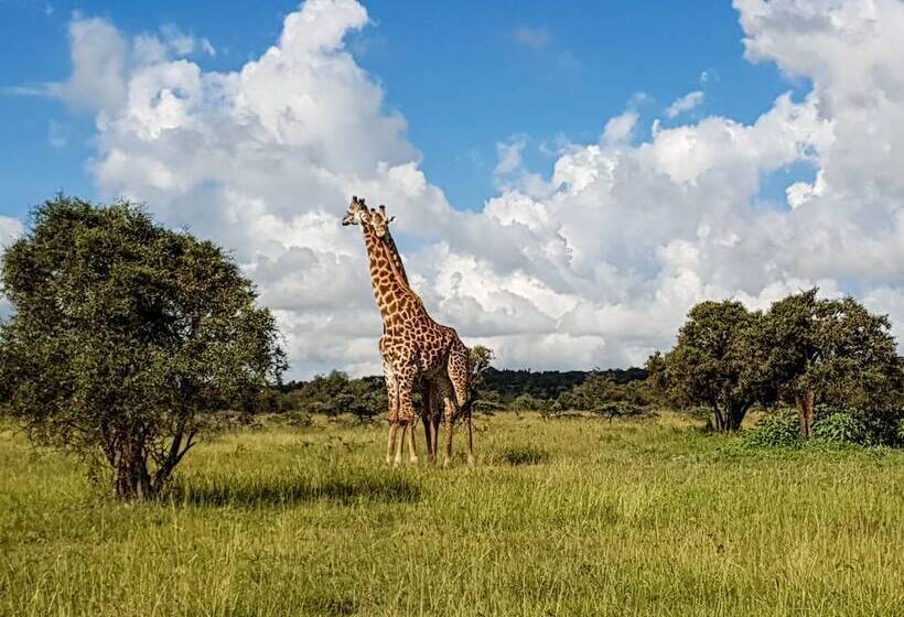 هتل Swara Acacia Lodge