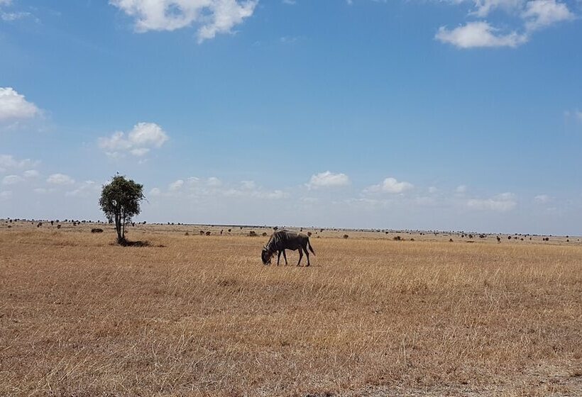 هتل Swara Acacia Lodge