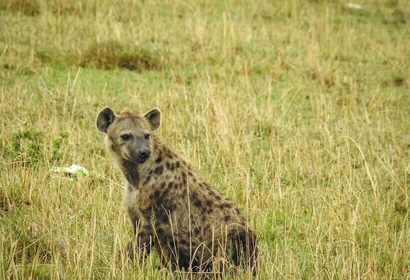 هتل Swara Acacia Lodge