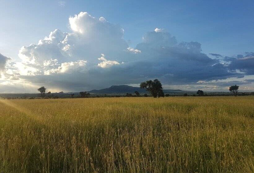 هتل Swara Acacia Lodge
