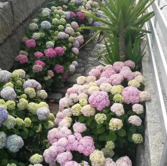 Apartamentos O Colmado