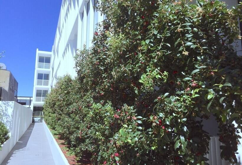 Brand New Stunning Home With Garden